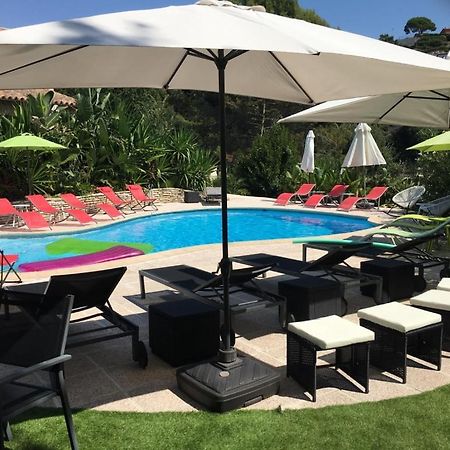 Villa Les Yuccas - Pool - Sea View Cagnes-sur-Mer Exterior foto